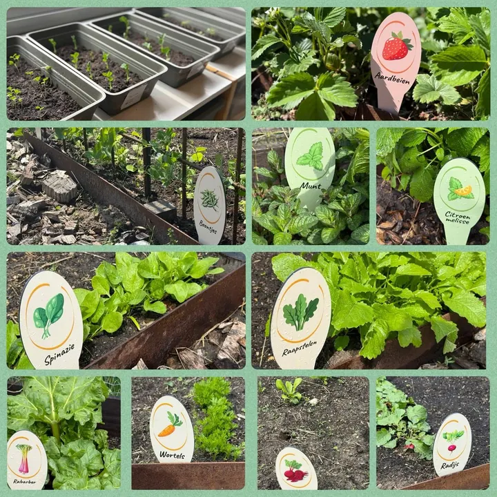 Bordjes voor de moestuin van Tot Strakjes, Kinderopvang Tot Strakjes